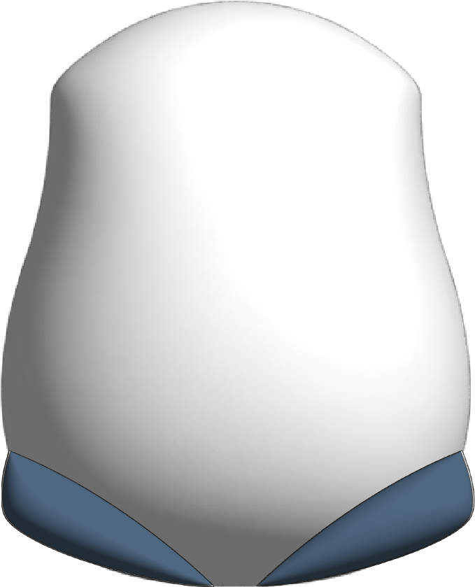 body